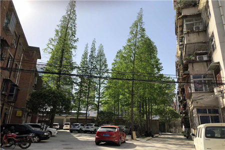 榴园别墅三室二厅一厨一卫85.55平价装四全有储